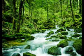 Soundholder Water Flow WAV