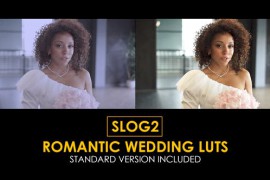 Slog2 Romantic Wedding and Standard Color LUTs 48914931