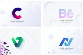 Clean Logo Reveal 33823332