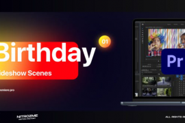Birthday Slideshow Scenes Vol. 01 for Premiere Pro 49742127