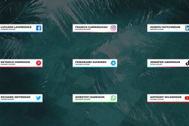 Social Media Lower Thirds For DaVinci Resolve 33337970