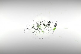 Clean Logo Reveal 12321664