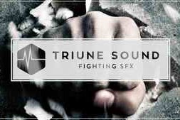 Triune Store Triune Sound Fighting SFX WAV