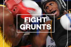 Blastwave FX Fight Grunts WAV-FANTASTiC