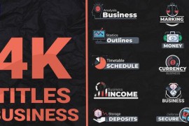 Business Titles Pack 48040748