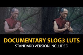 Slog3 Documentary and Standard Color LUTs 48800827