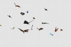 2 Swarms of Colorful Butterflies - Cross Flying Over Screen - II 50268339