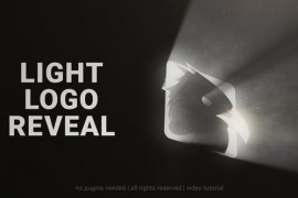 Light Logo Reveal 43941422
