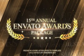 Awards 24685922