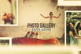 Photo Gallery 46761600