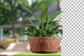 Animated plant on Brown pot 51109916