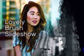 Lovely Brush Slideshow 58041206