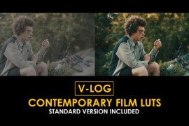 V-Log Contemporary Film and Standard Color LUTs 51303142