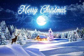 Xmas Greeting 29575066