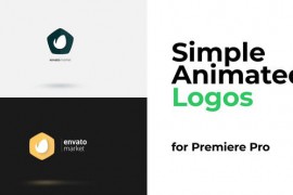 Logo Animated 44738830