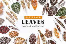 Free Download:Patterned Leaves – Landart Collection 2264512