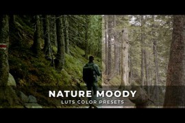 Nature Moody Luts 43385526