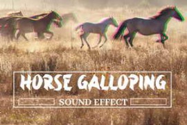 Pro Sound Effects Library Horse Galloping Sound Effect FLAC-FANTASTiC