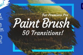 Brush Transitions 31779011