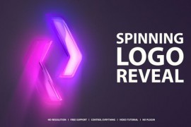 Logo Animation 42564533