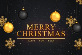 Merry Christmas Intro | MOGRT 41061588