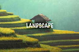 Landscape Creative LUT presets