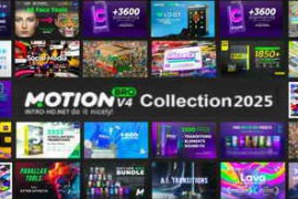 Motion Bro 4 Packs Collection 2025 Updates
