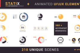 StatiX Infographic Bundle 17899138