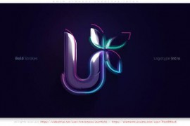 Bold Strokes Logotype Intro 52062382