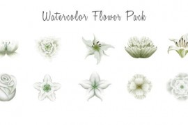Watercolor Flowers 33561836