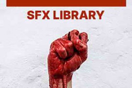 Krotos Hand-to-Hand Combat SFX Library WAV