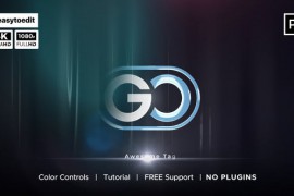 Elegant Logo Animation 49308706