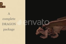 Complete Dragon Package 50535122