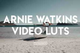 Arnie Watkins Video LUTs