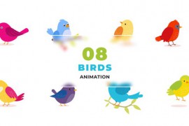 Animated Colorful Birds Template 47494391
