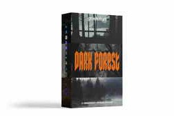 GradeFruit – Dark Forest LUTs & LR Presets