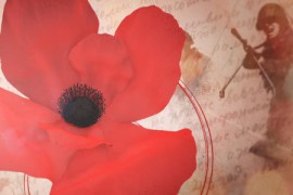 World War Symbol Opener 11289586