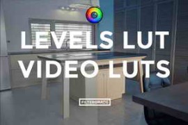 FilterGrade Levels LUT Video LUTs