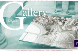 Elegant Geometry Gallery 48889286