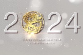 Chinese New Year Background Decoration 48612587