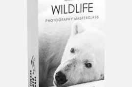 Ultimate Photo Course – The Ultimate Wildlife Photography Bundle