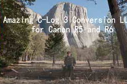 Gamut LUT – Canon Conversion LUTs for C-Log / C-Log 3