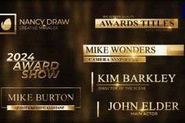 Awards Сeremony Gold Silver Lowerthirds Pack 2 51012330