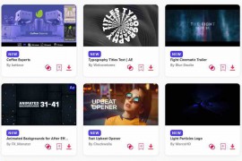 2024.2.5.89.Set.AE.Templates