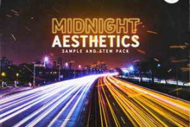 Free Download:The Sample Lab Midnight Aesthetics Vol.3 (Compositions and Stems) WAV-FANTASTiC