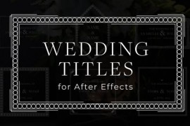 Vintage Wedding Titles 47105126