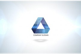 Clean Flip Logo 46498831