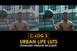 Canon C-Log3 Urban Life and Standard Color LUTs 50877046