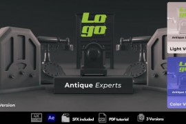 Antique Experts 51884392