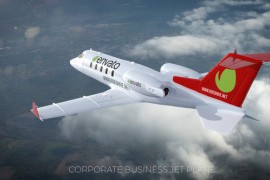 Corporate Business Jet Plane 22936695